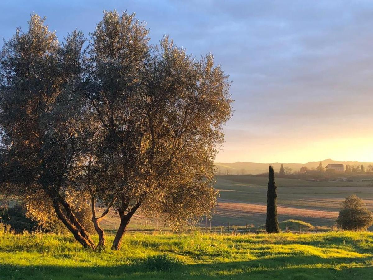 Casa Country House Girasole Crete senesi vakantie huis Asciano Esterno foto